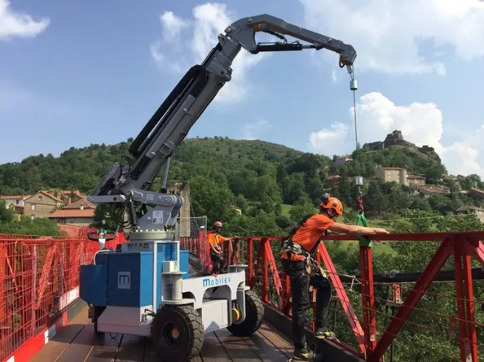 Grue électrique 40°